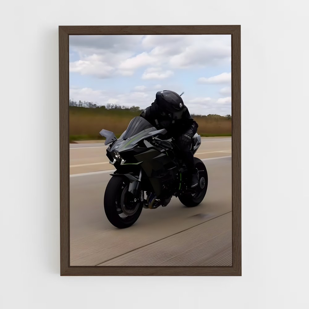 Poster La Route des Ninjas (vue 5)